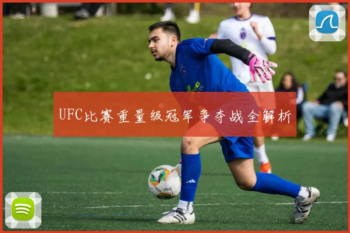 UFC比赛重量级冠军争夺战全解析