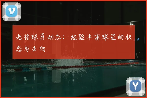 老将球员动态：经验丰富球星的状态与去向