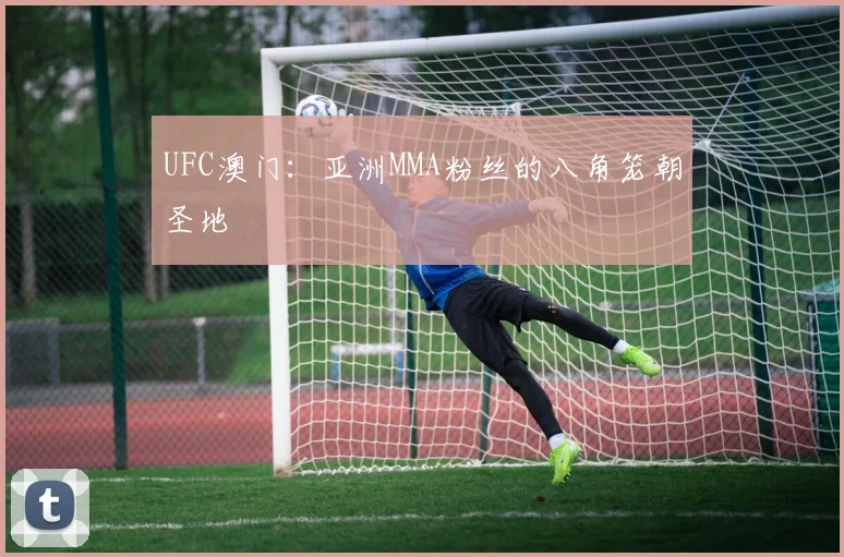 UFC澳门：亚洲MMA粉丝的八角笼朝圣地