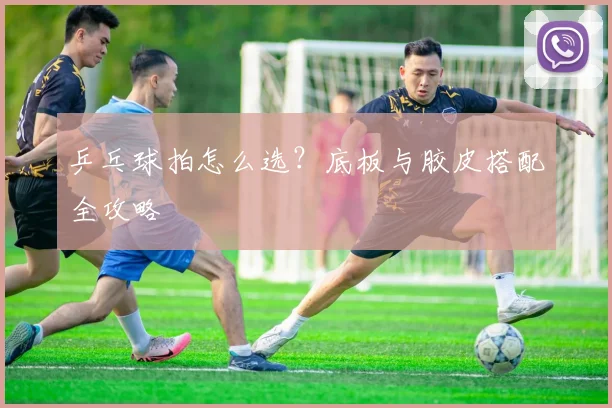 乒乓球拍怎么选？底板与胶皮搭配全攻略