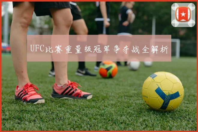 UFC比赛重量级冠军争夺战全解析