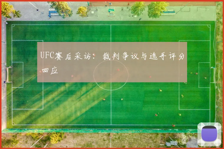 UFC赛后采访：裁判争议与选手评分回应