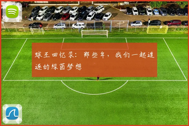 球王回忆录:那些年,我们一起追逐的绿茵梦想
