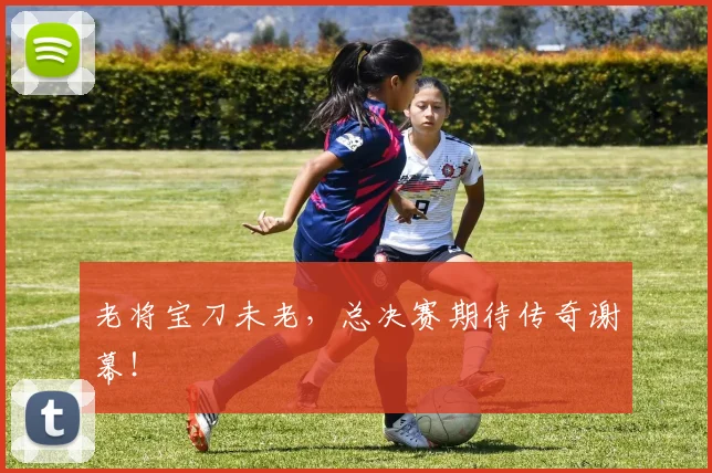 老将宝刀未老，总决赛期待传奇谢幕！