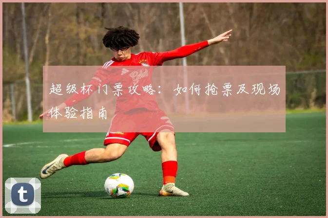 超级杯门票攻略：如何抢票及现场体验指南