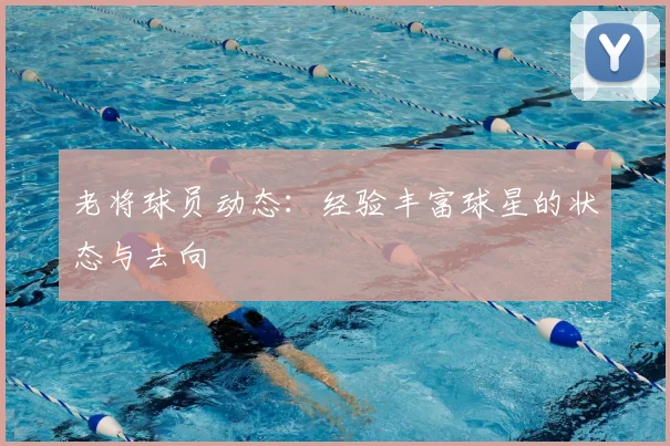 老将球员动态：经验丰富球星的状态与去向