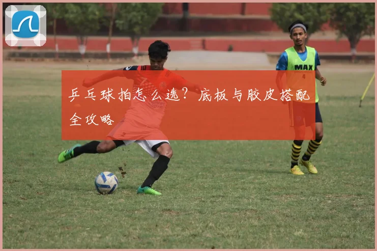 乒乓球拍怎么选？底板与胶皮搭配全攻略
