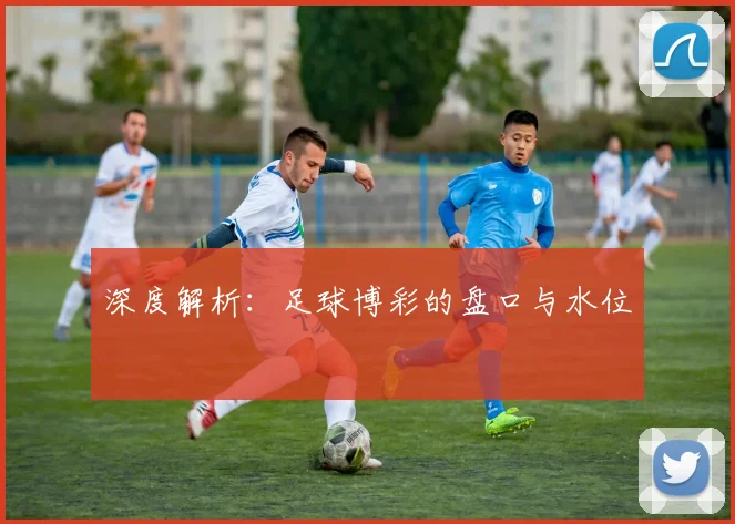 深度解析：足球博彩的盘口与水位