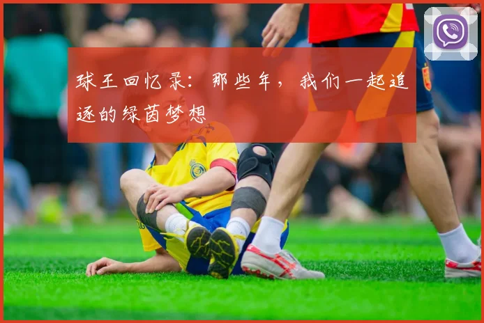 球王回忆录:那些年,我们一起追逐的绿茵梦想