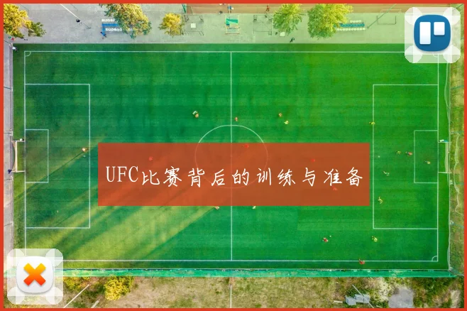 UFC比赛背后的训练与准备
