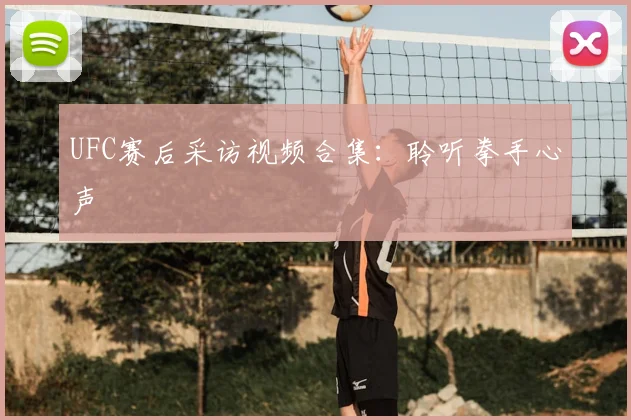 UFC赛后采访视频合集：聆听拳手心声