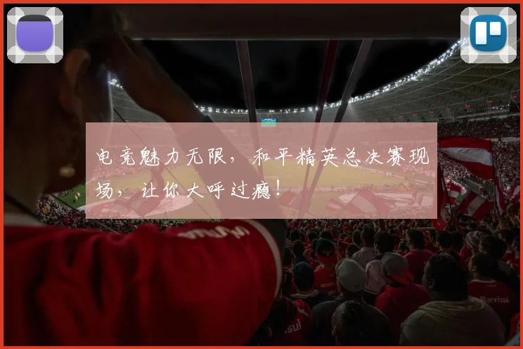 电竞魅力无限，和平精英总决赛现场，让你大呼过瘾！