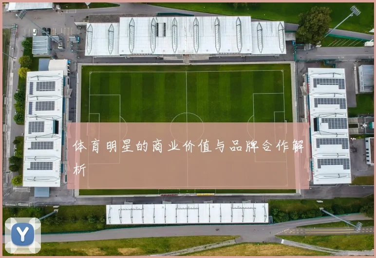 体育明星的商业价值与品牌合作解析