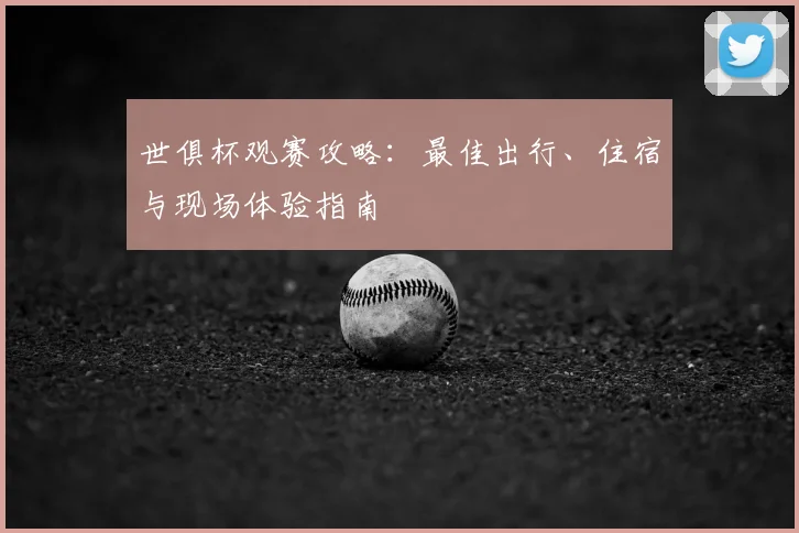 世俱杯观赛攻略：最佳出行、住宿与现场体验指南