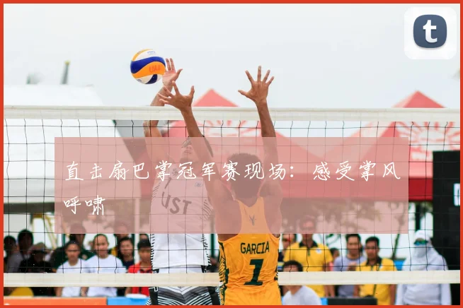 直击扇巴掌冠军赛现场：感受掌风呼啸